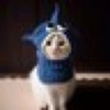 のりんこ