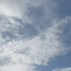 もあぞう