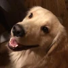 CHANCE