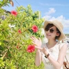 CHASU