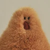 anZKあんざこ