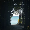 森岡永遠