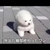 asakarabuffet