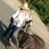 おなか