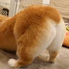 おしりちゃん