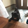 のぐちしょうた