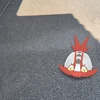 萌やし