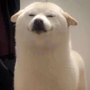 や