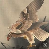 Takezoo