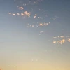 涼