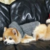 りり