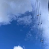 スケベ用に猫を使うな