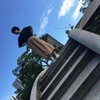 あおやぎようこ