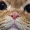 リー