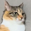 みゅうちょび