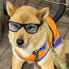 いぬう