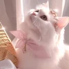 luv_oll