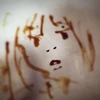 Songtarou