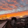 しょうぽん