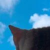 o7