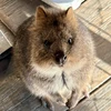 まさ
