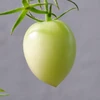んぬ