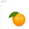 Orangeオレンジ