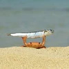 映画初心者