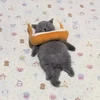 grrrmeow