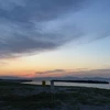 ひよひよ