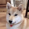 YA