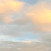て