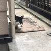 川渓谷