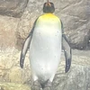 もう一度考えて