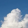August