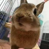 渡邊しんと