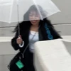 リトルチキン