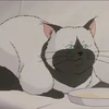 元帥猫2045