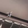 Ryo