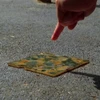 チーズえんがちょ