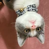 かずみん
