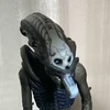 てつじぇろにも