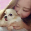 HARU