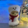 caramel_udon