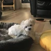 なち
