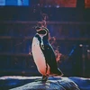 カリギュラ