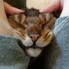 らちゃん