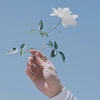 あいあい