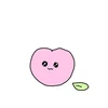 tkr