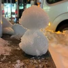 絹